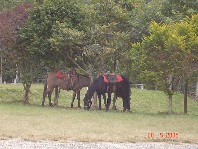 Sitio Bom Fim 2*
