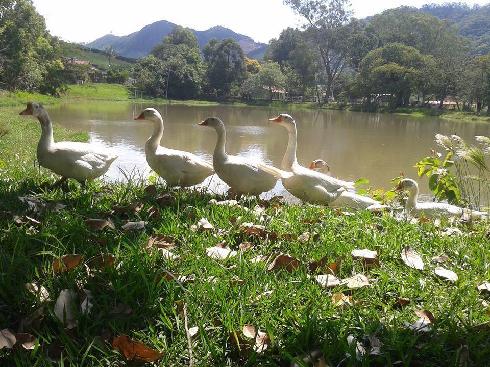 Sitio Bom Fim Estalagem Serra Negra (Sao Paulo)